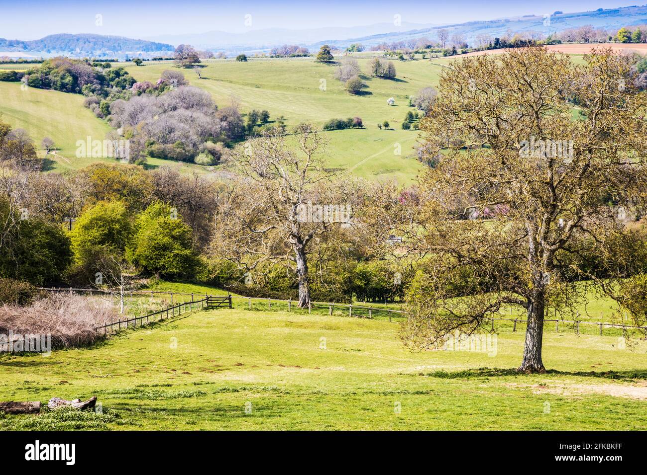 Spring view over rolling countryside in the Worcestershire Cotswolds. Stock Photo