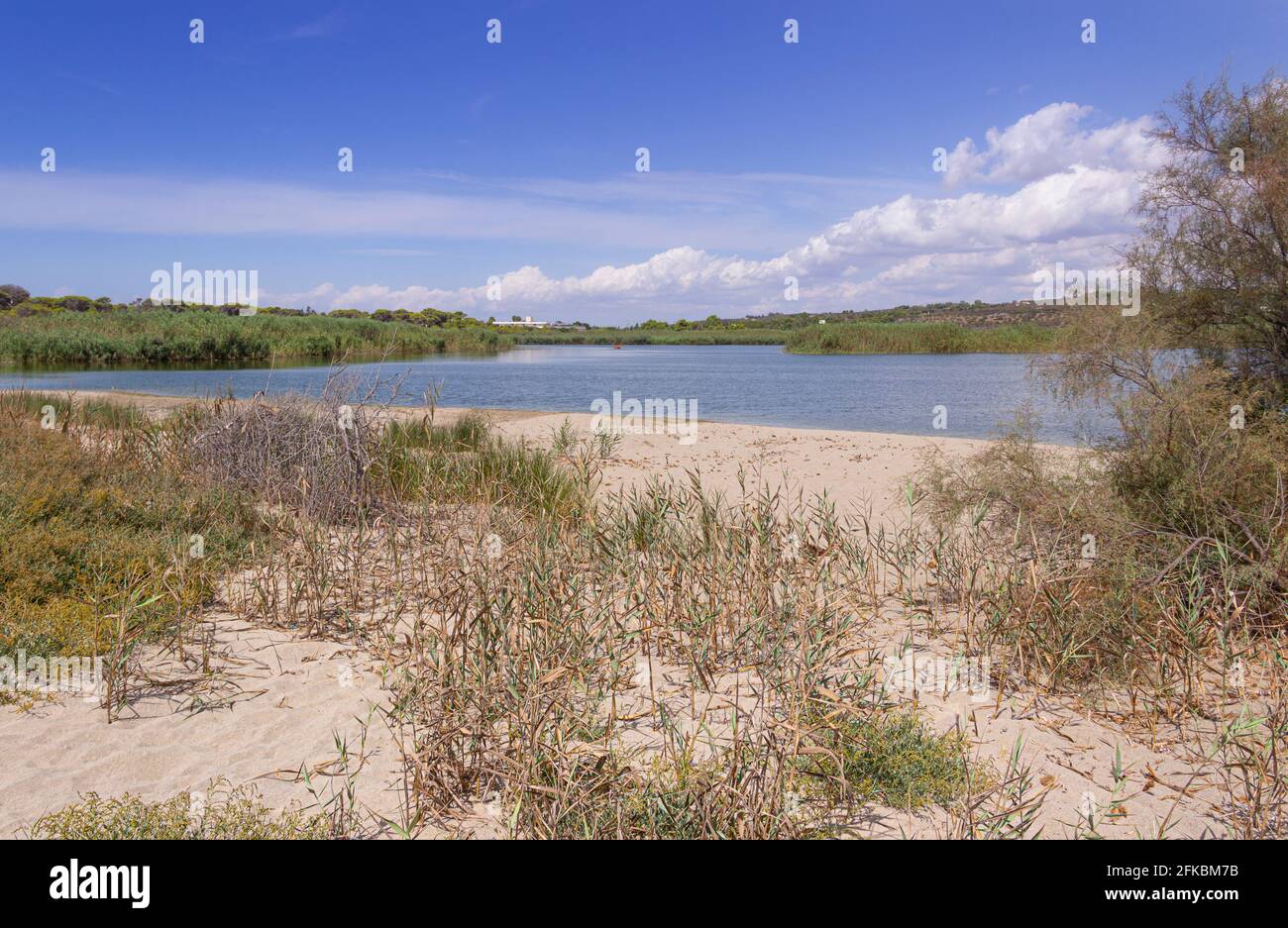The “Litorale di Ugento” Regional Nature Park  in Apulia (Italy) boasts sandy beaches, wetlands behind the dunes, marshes, areas of woodland. Stock Photo