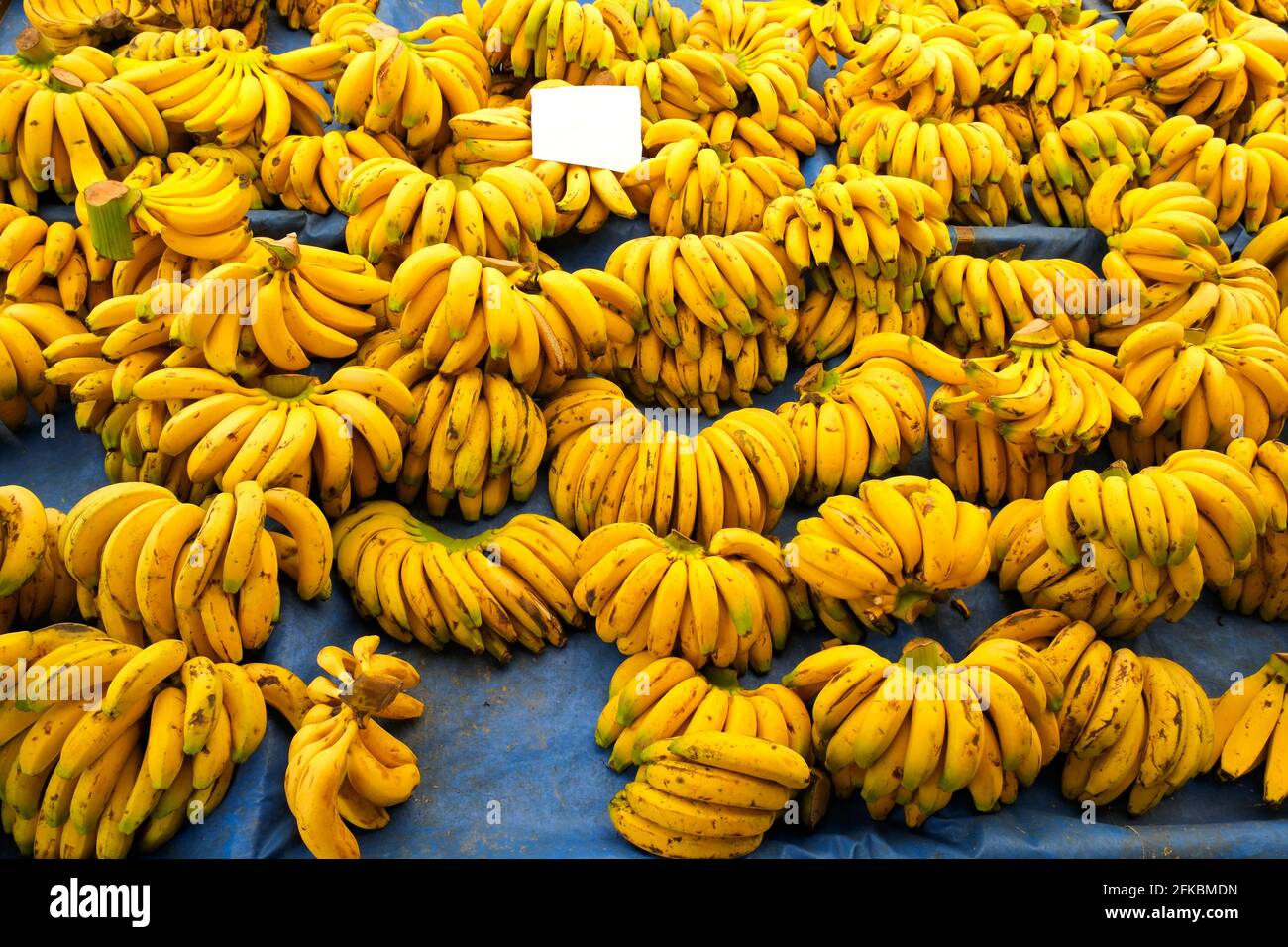 https://c8.alamy.com/comp/2FKBMDN/clean-eating-concept-bunch-of-ripe-yellow-organic-cavendich-banana-hands-w-blank-price-tag-at-local-farmers-market-supermarket-display-healthy-nutr-2FKBMDN.jpg