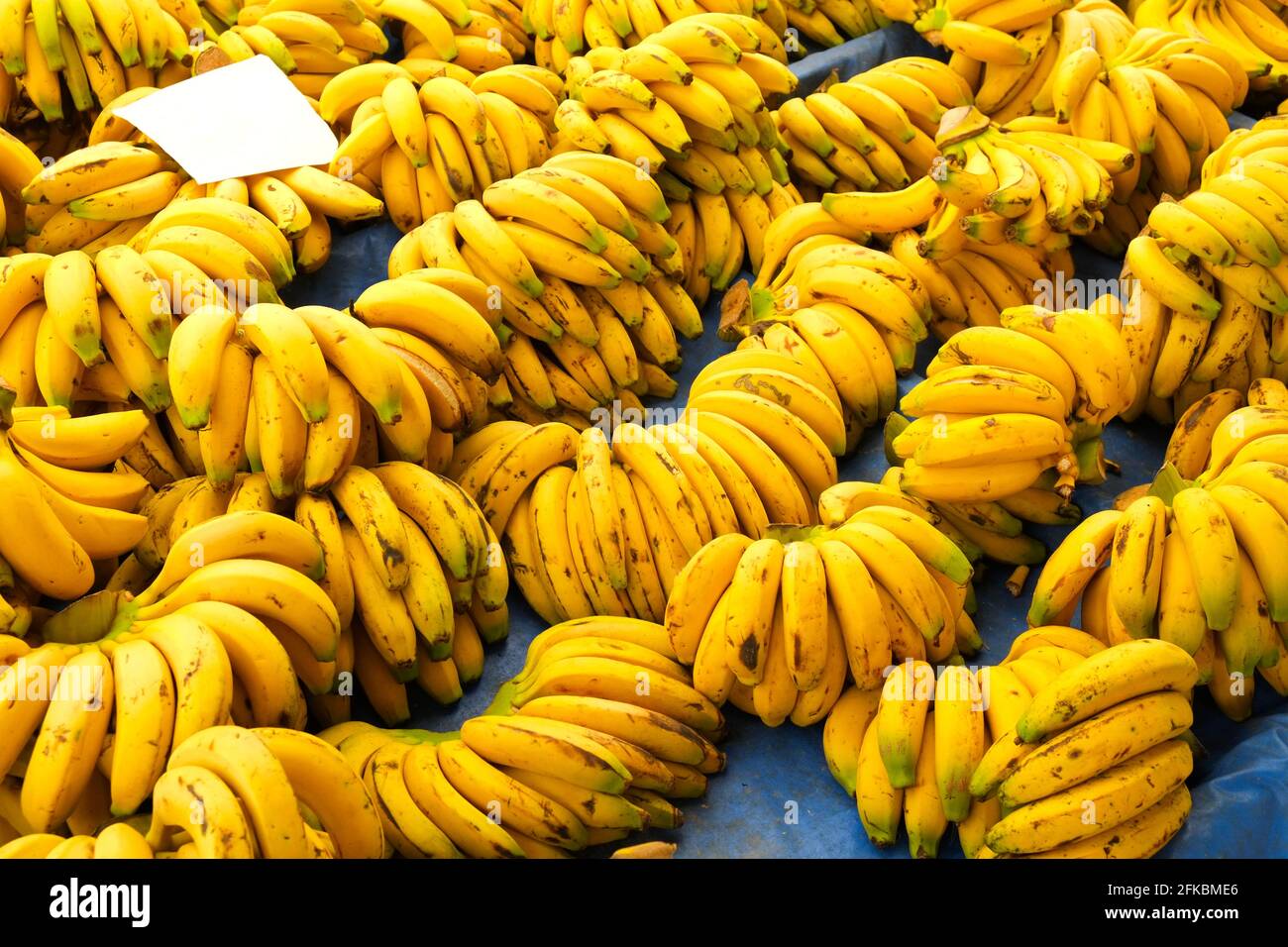 https://c8.alamy.com/comp/2FKBME6/clean-eating-concept-bunch-of-ripe-yellow-organic-cavendich-banana-hands-w-blank-price-tag-at-local-farmers-market-supermarket-display-healthy-nutr-2FKBME6.jpg