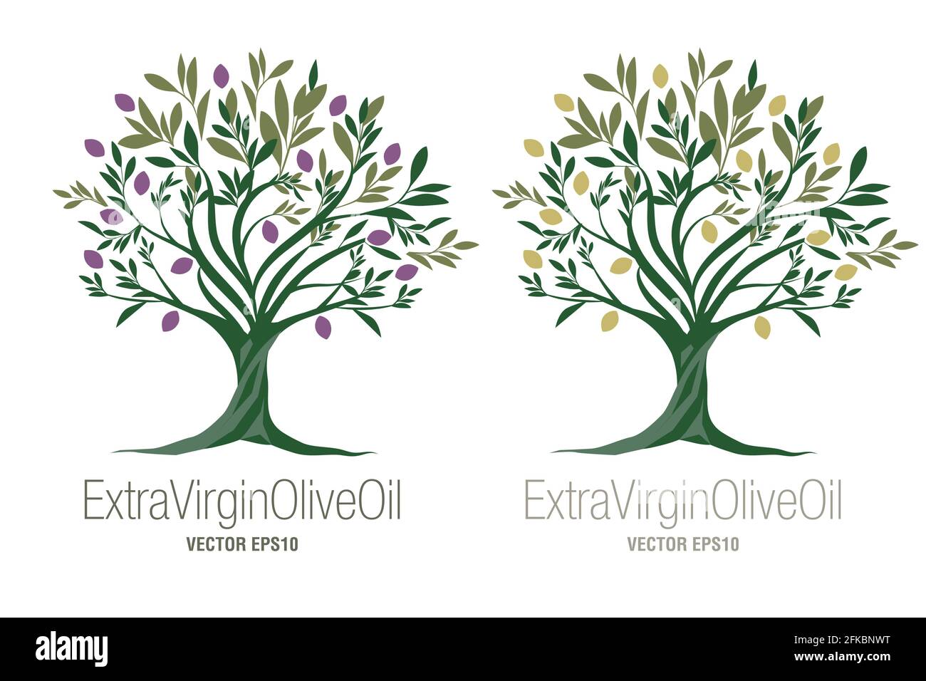 Olive Tree. Extra virgin olive oil symbol. Symbol of culture and
