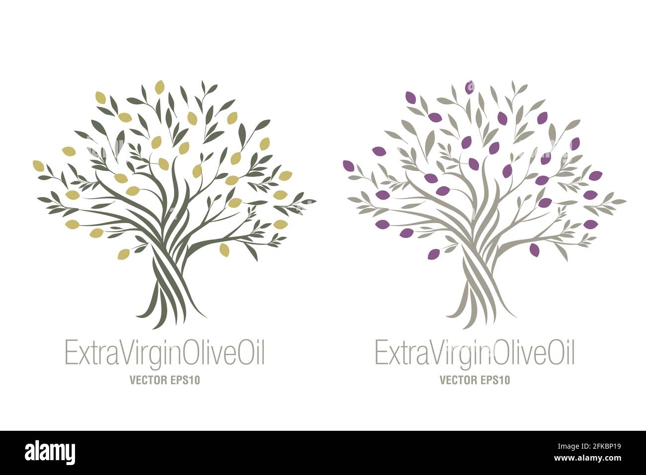 Olive Tree. Extra virgin olive oil symbol. Symbol of culture and ...