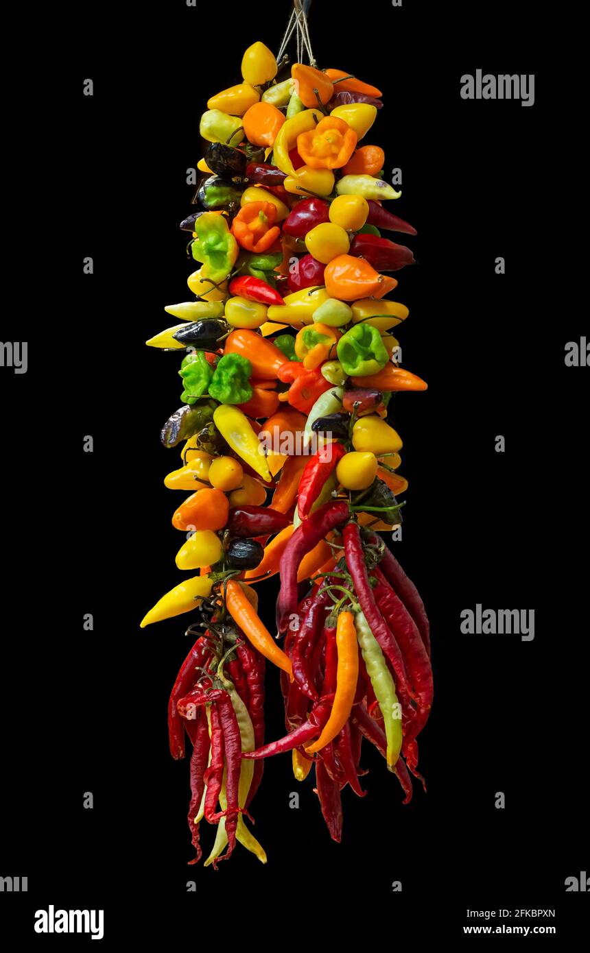 Multiple species of hot peppers of many colors and size isolated on ...