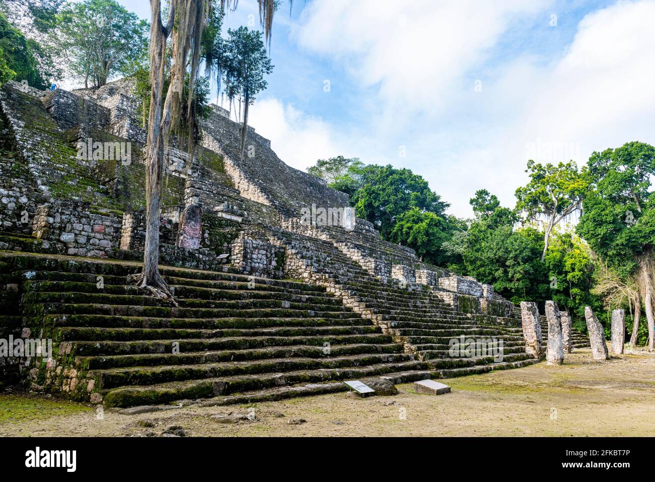 Calakmul, UNESCO World Heritage Site, Campeche, Mexico, North America Stock Photo