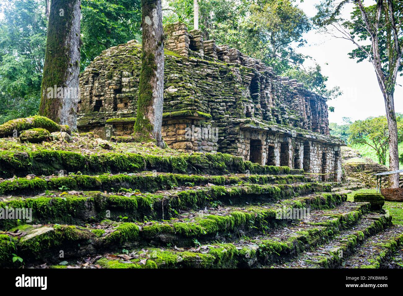 Archaeological Maya site of Yaxchilan in the jungle of Chiapas, Mexico, North America Stock Photo