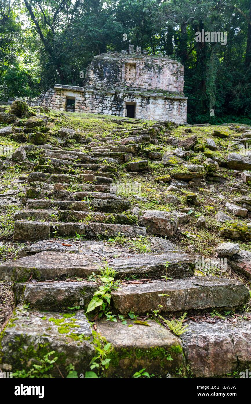 Archaeological Maya site of Yaxchilan in the jungle of Chiapas, Mexico, North America Stock Photo