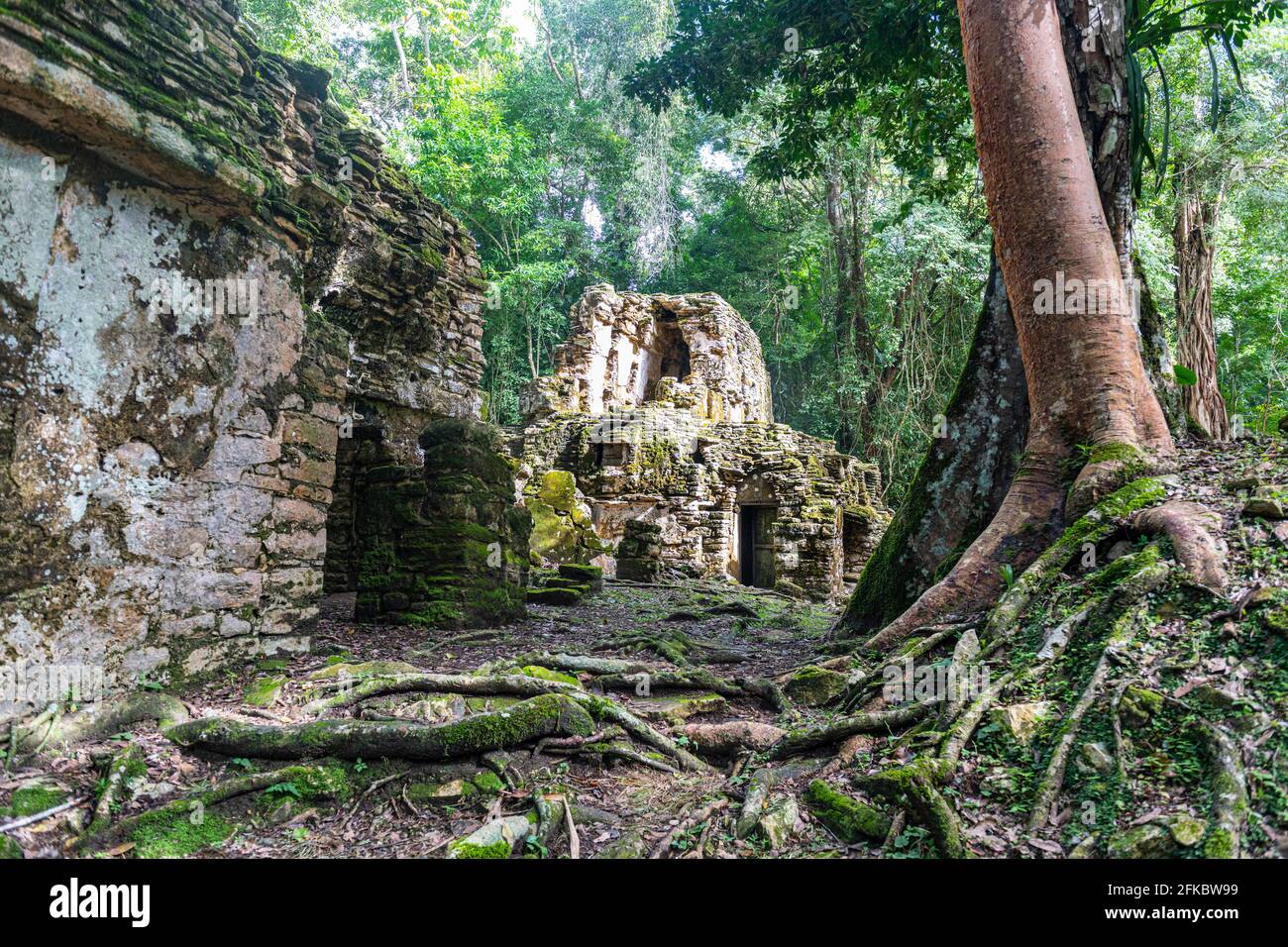 Archaeological Maya site of Yaxchilan in the jungle of Chiapas, Mexico ...