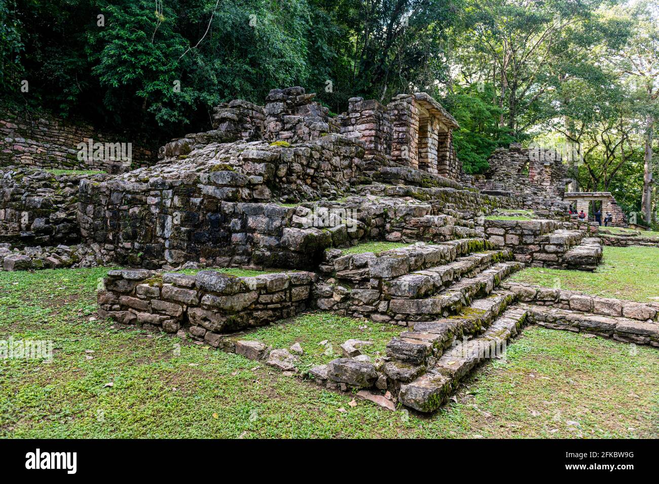 Archaeological Maya site of Yaxchilan in the jungle of Chiapas, Mexico ...