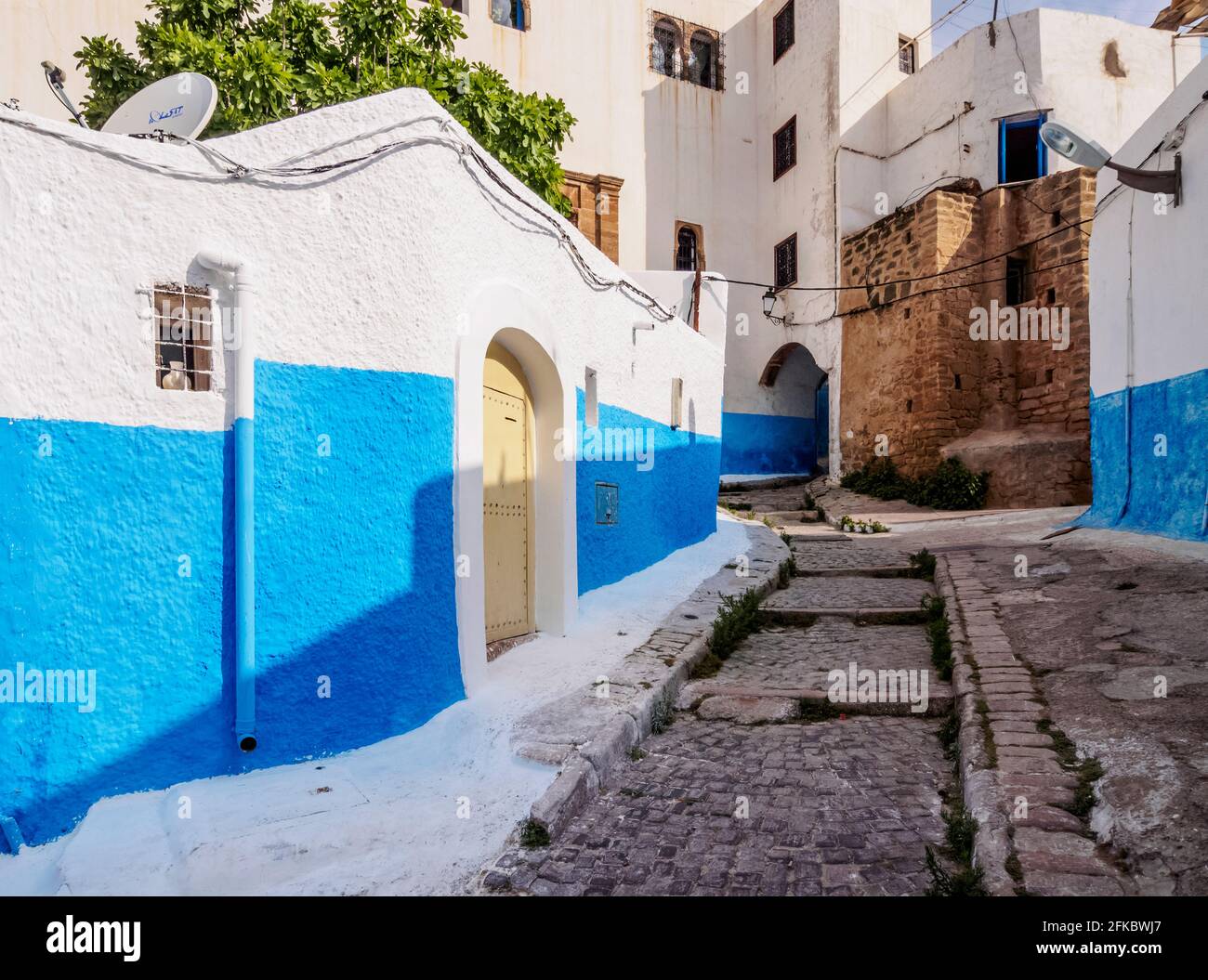 Rue Bazou, blue street in Kasbah of the Udayas, Rabat, Rabat-Sale-Kenitra Region, Morocco, North Africa, Africa Stock Photo