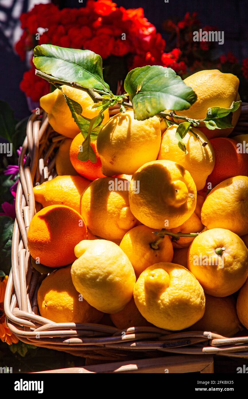 Fresh local basket of lemons in Manarola in Cinque Terre, province of La Spezia, in the Liguria region of Italy, Europe Stock Photo