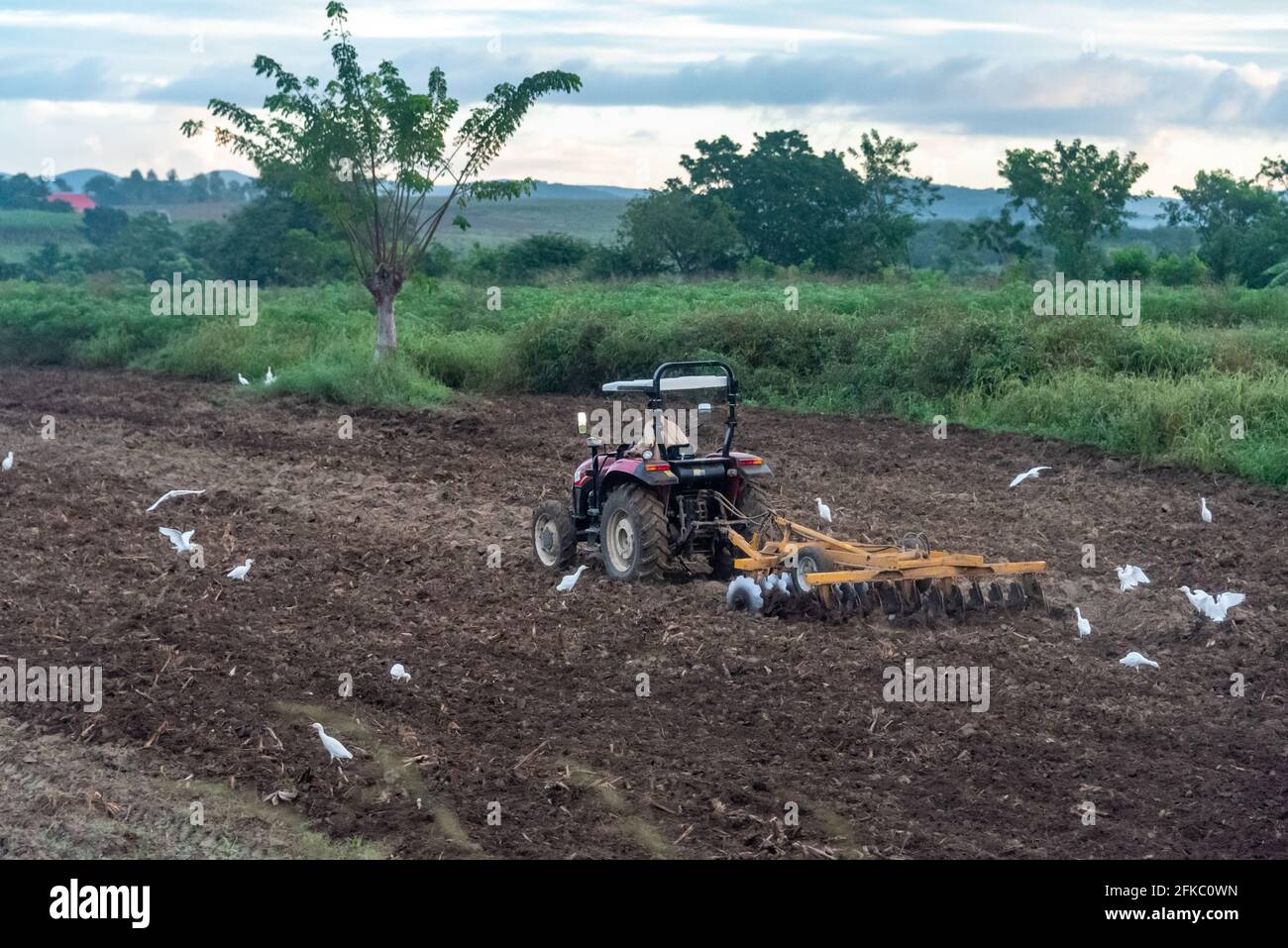 Agricultural tractor plowing land in Cuba Stock Photo
