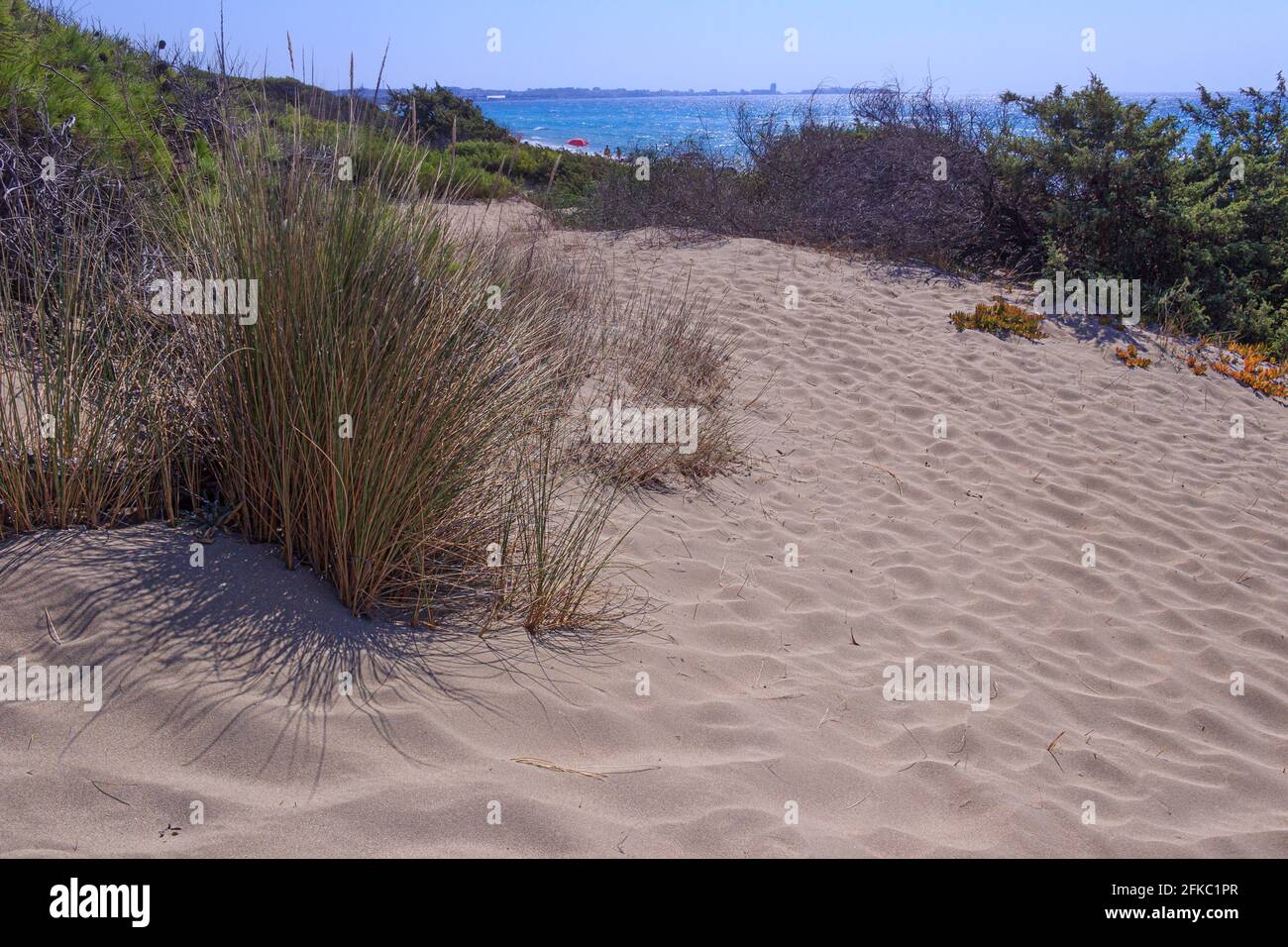 Typical marine dunes of Puglia, Italy. Rivabella beach in Salento. Stock Photo