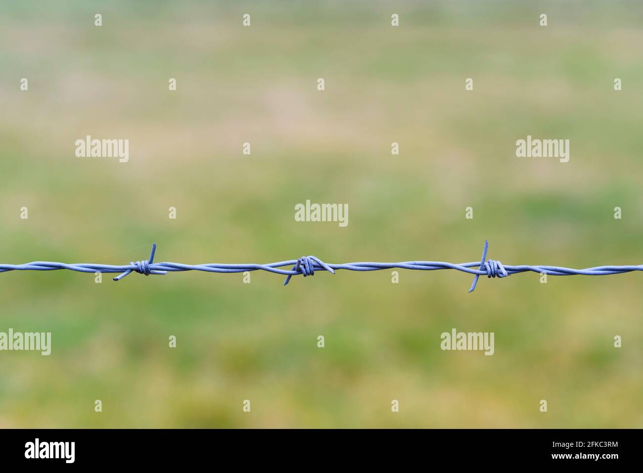 String of barbed wire fencing against a blurred green background Stock Photo