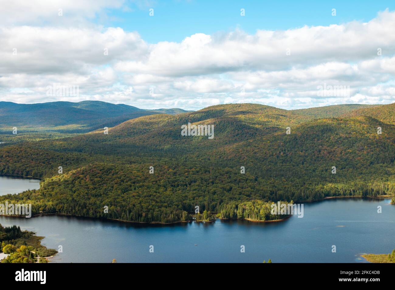 Lush boreal forest in Quebec, Canada. Laurentian mountains region. Autumn time, colorful trees. Stock Photo