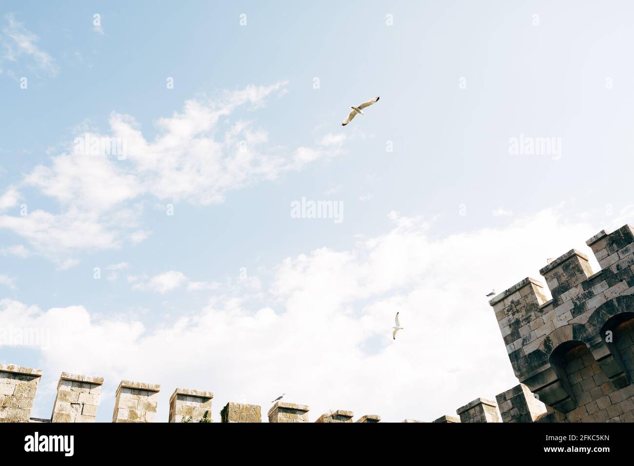 Flock of seagulls circling above old castle wall. Stock Photo