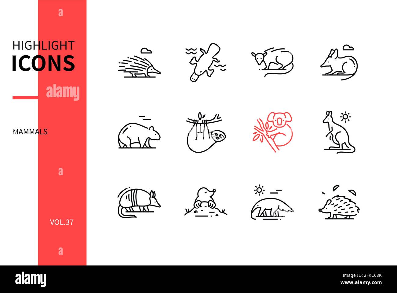 Different mammals - modern line design style icons set. Various animals concept. Black and white images of a echidna, opossum, bandicoot, wombat, koal Stock Vector