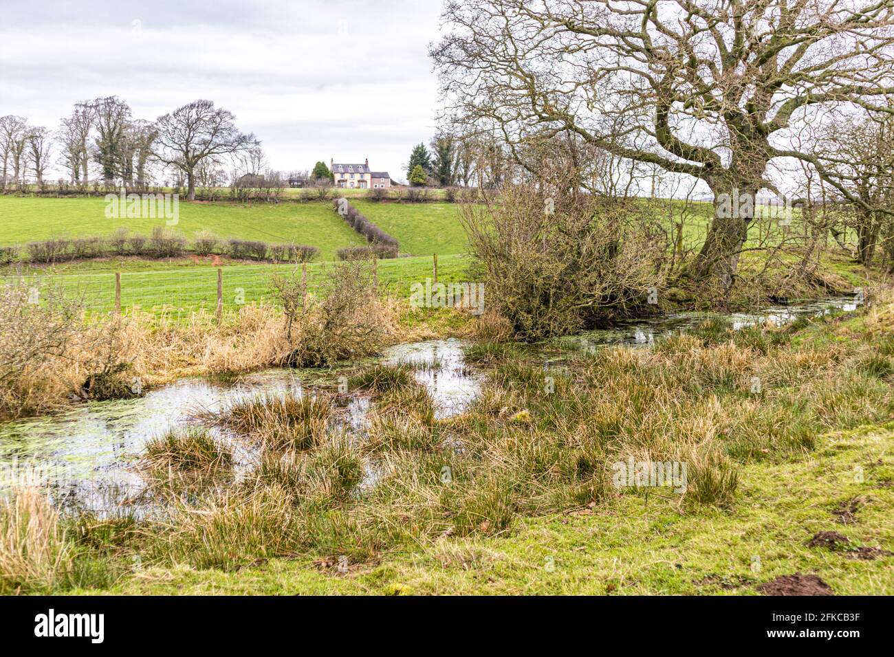 Rhine ditch hi-res stock photography and images - Page 3 - Alamy