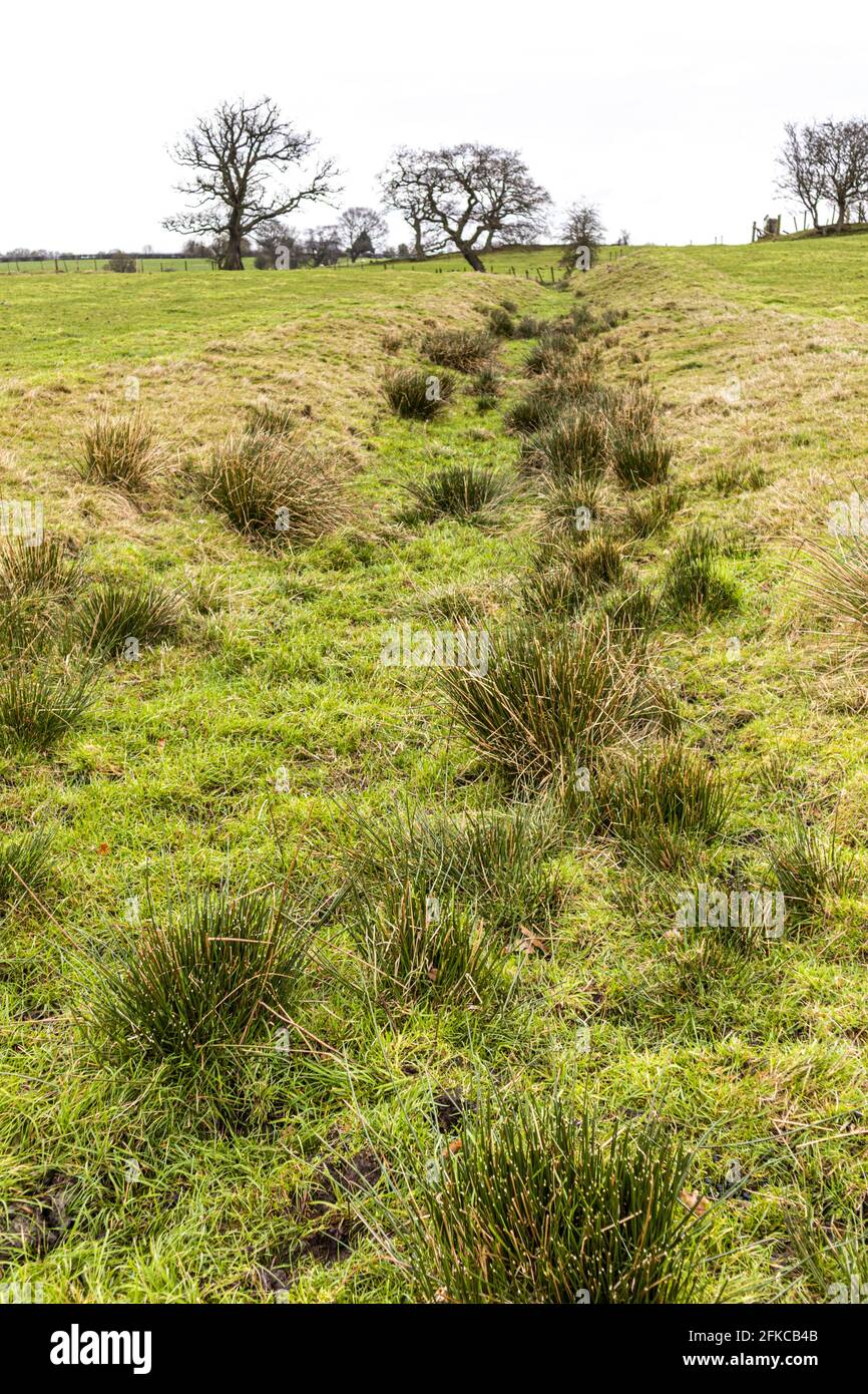 A view along the vallum (ditch) running beside the course of Hadrians Wall at Irthington, Cumbria UK Stock Photo