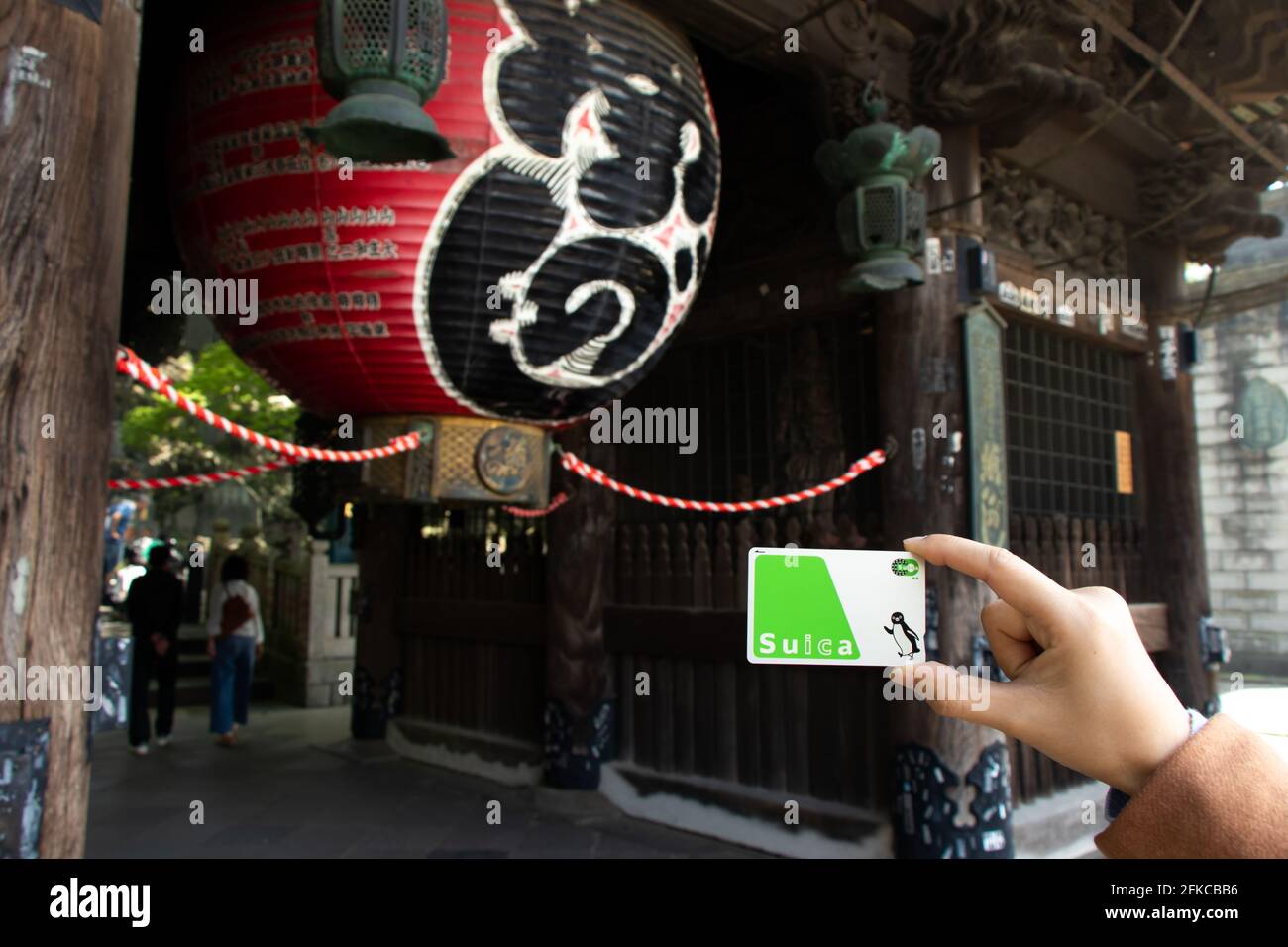 Tokyo, Japan - May 3, 2019 : Man hold Suica pass with the red lantern of Narita-san temple background, Suica is a prepaid card for travelling with tra Stock Photo