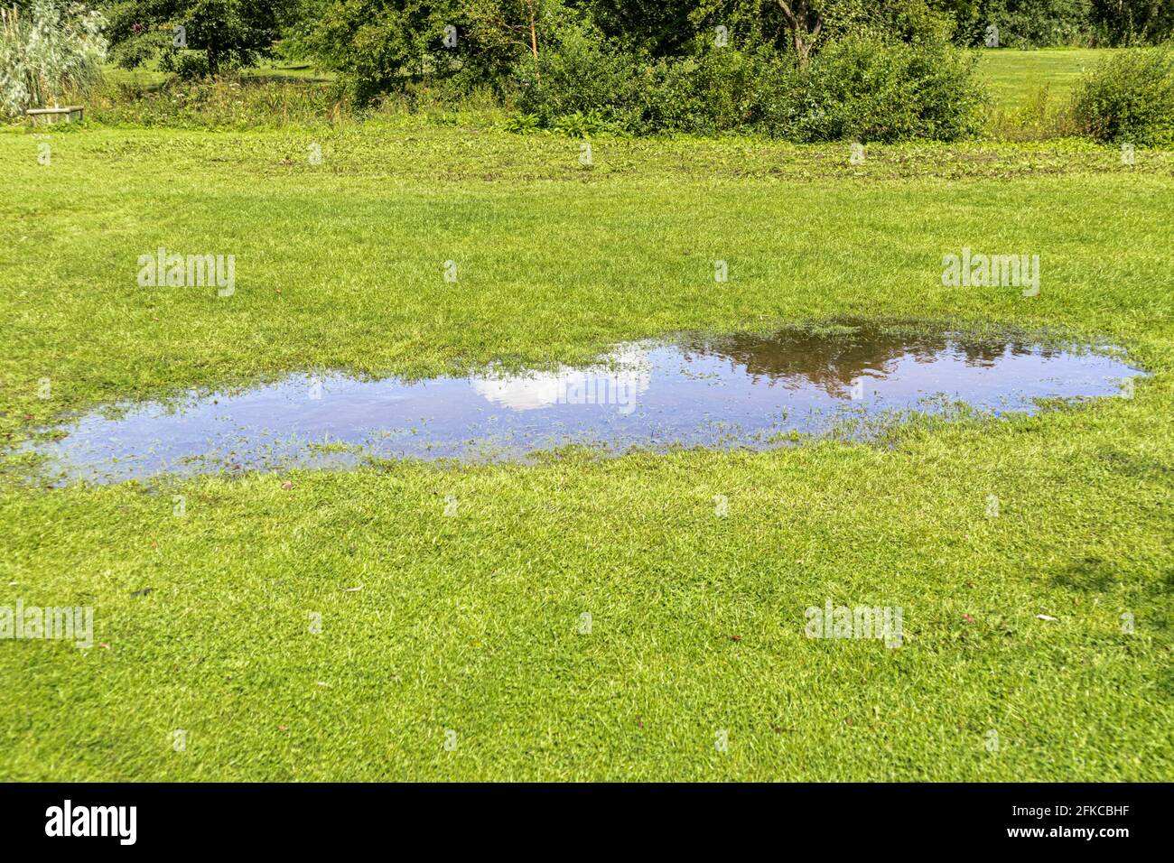 The sky and a cloud reflected in a large puddle on a patch of grass Stock Photo