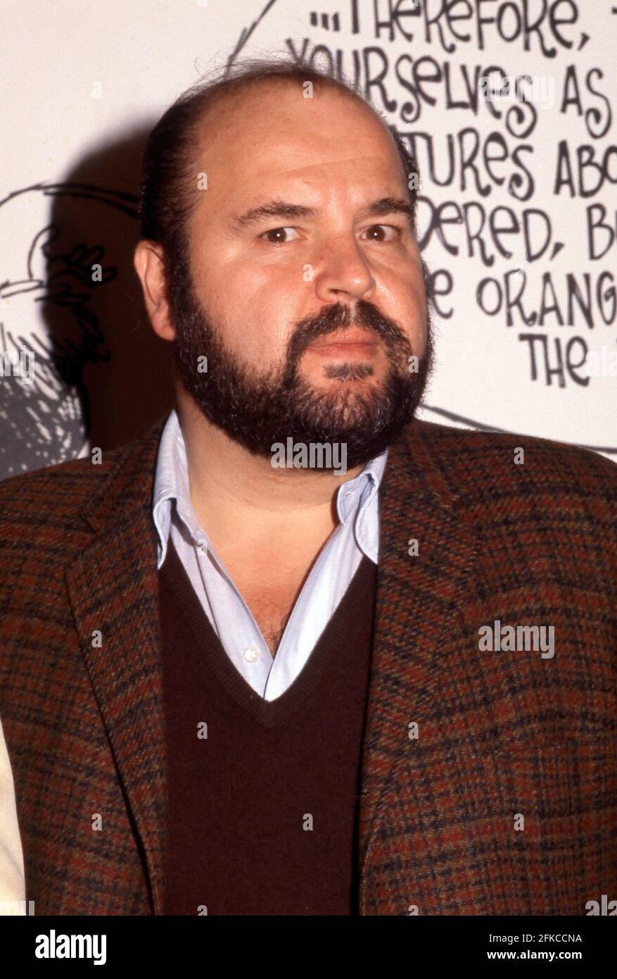 Don DeLuise Circa 1980's Credit: Ralph Dominguez/MediaPunch Stock Photo ...