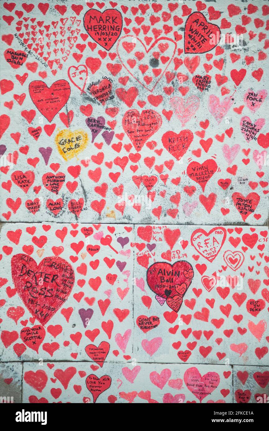 London, UK. 30th Apr, 2021. The national Covid Memorial Wall outside St Thomas' Hospital on the southbank is now largely completed. Family and friends of some of the more than one hundred and forty-five thousand people who've lost their lives to Covid-19 have drawn hearts by hand on a wall opposite Parliament in London. Each heart represents someone who was loved and who died of covid. It has been organised by the Covid-19 Bereaved Families for Justice. Credit: Guy Bell/Alamy Live News Stock Photo