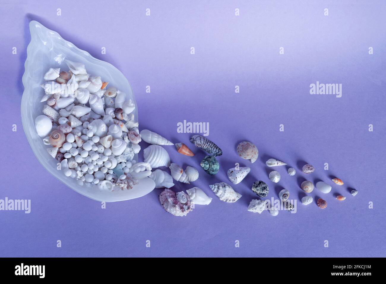 Some colorful sea shells dropping from giant see shell, lilac background. Stock Photo