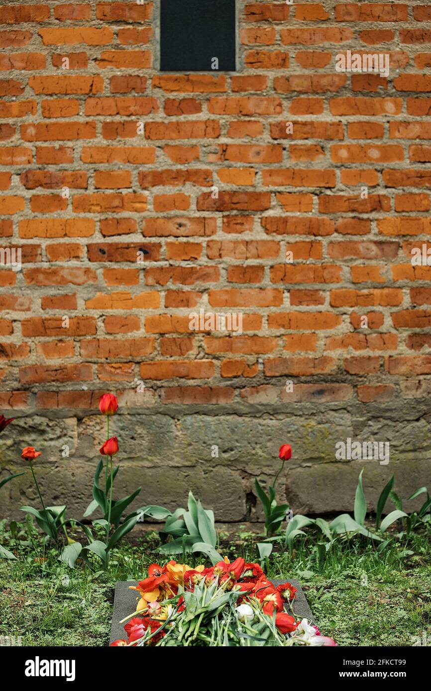 flowers at the memorial fire. the memory of the fallen soldiers in the ...