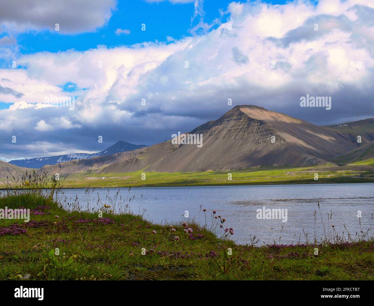 Landscape in Iceland under a cloudy sky Stock Photo