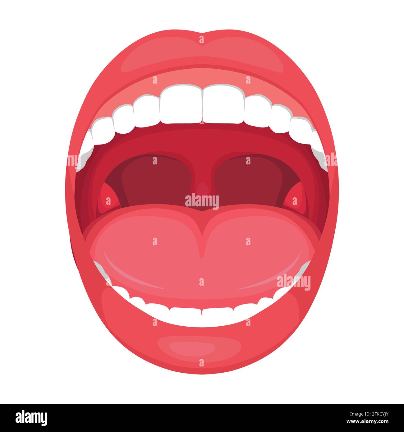 vector illustration of a anatomy human open mouth. medical diagram Stock Vector