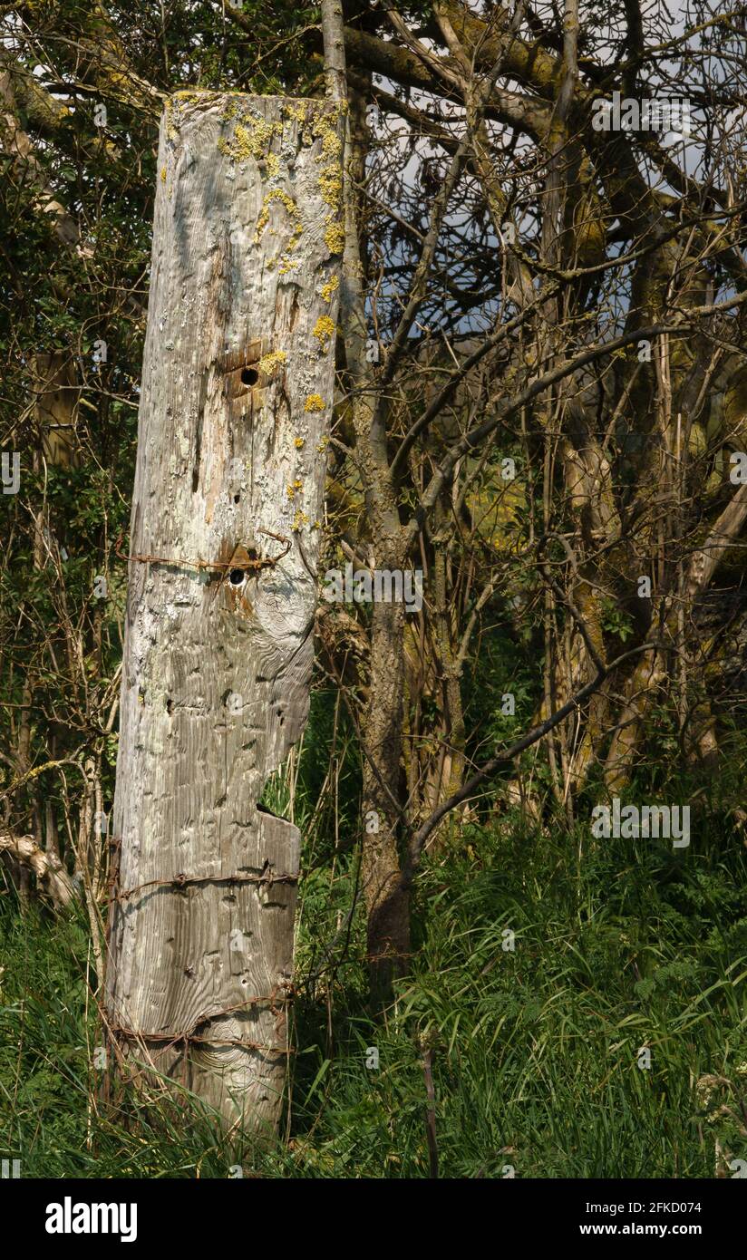 Old wooden fence stone hi-res stock photography and images - Alamy