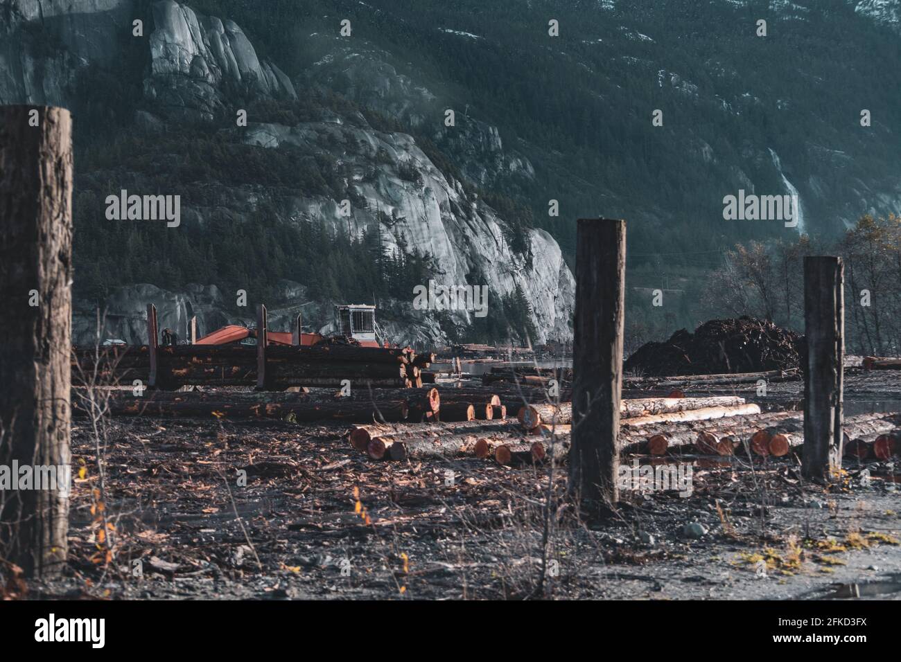 Canada, British Columbia, Squamish, Lumberyard at foot of mountain Stock Photo