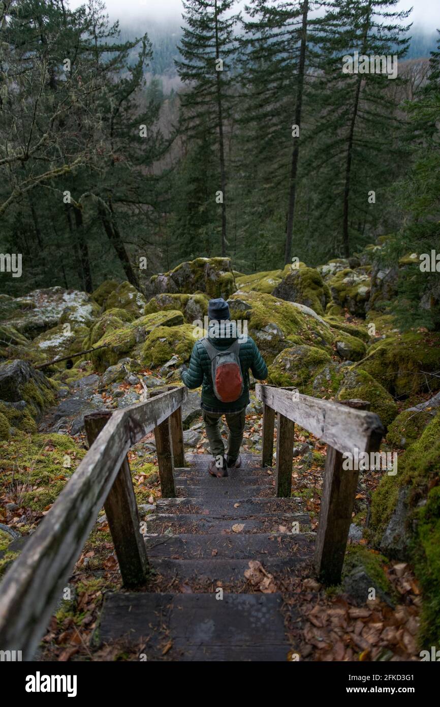 Canada, British Columbia, Squamish, Man hiking along trail Stock Photo