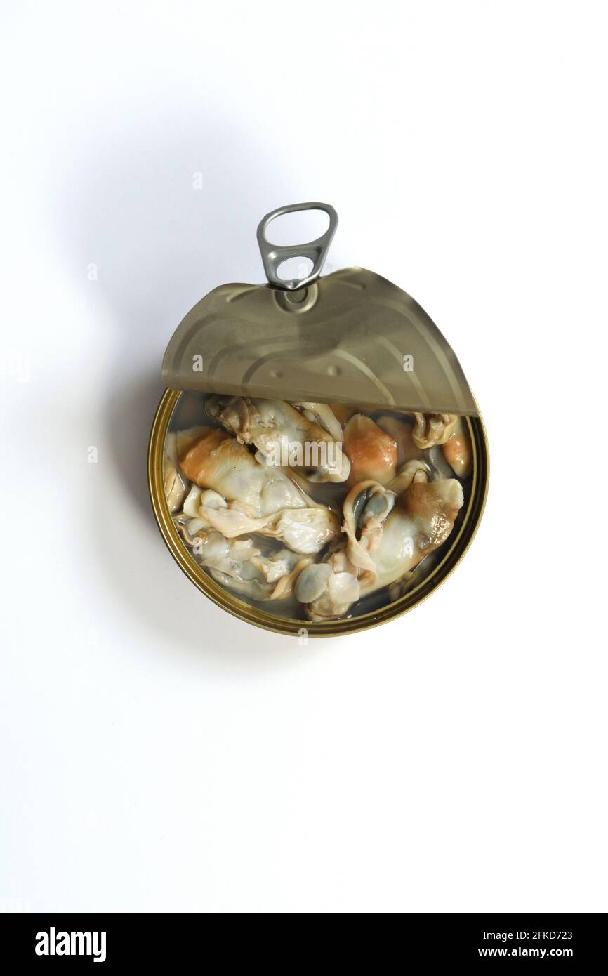 can of razor shells on white background Stock Photo
