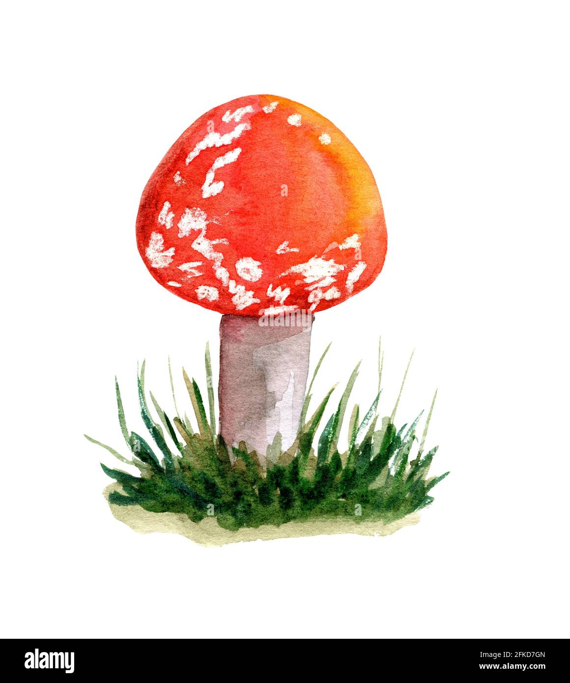 Amanita muscaria object isolated white background Stock Photo - Alamy