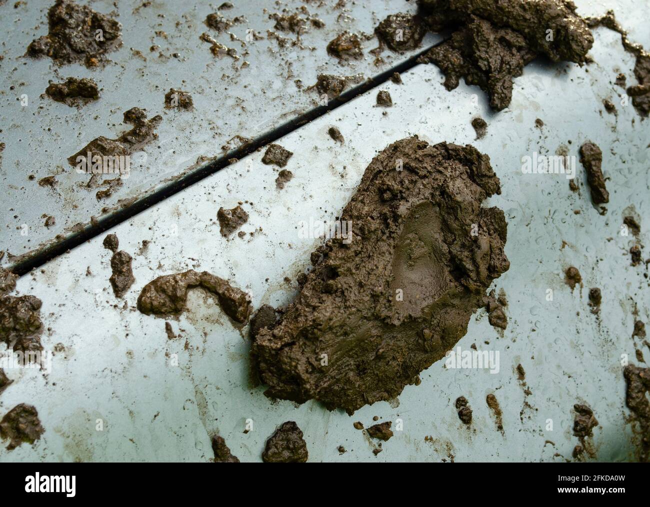 Mud splatter hires stock photography and images Alamy