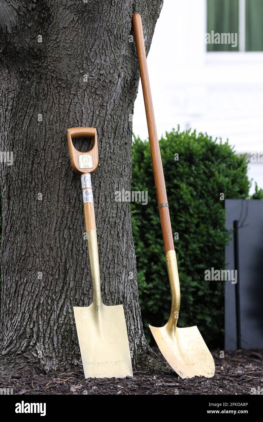 Placards with the seal of the President of the United States mark a shovel used in past White House tree planting ceremonies before first lady Dr. Jill Biden holds an Arbor Day tree planting ceremony at the White House, Friday, April 30, 2021, in Washington.Credit: Oliver Contreras/Pool via CNP /MediaPunch Stock Photo