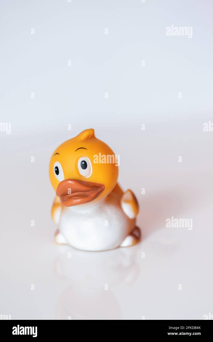 Cute yellow rubber duck bathing toy against white background Stock Photo