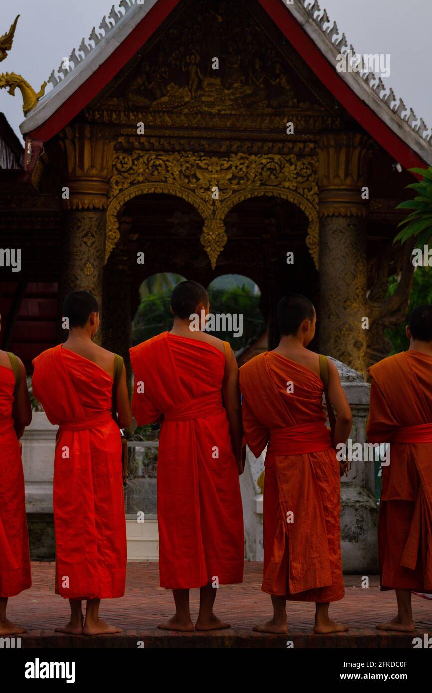 Luang Prabang, Laos - July 6, 2016:  Buddhist monks pray in front of Xiengthong Temple at the conclusion of the early morning alms giving ceremony of Stock Photo