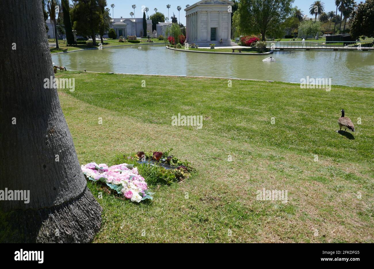 Burt reynolds deliverance hi-res stock photography and images - Alamy