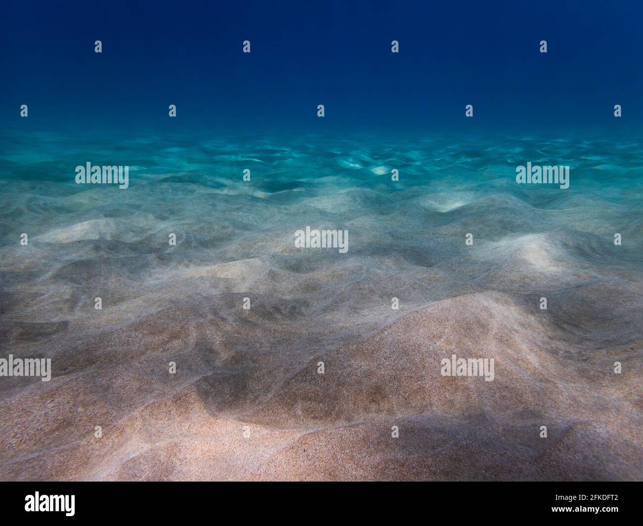 Sandy ocean floor in clear blue water low angle view underwater in tropical Hawaii. Stock Photo