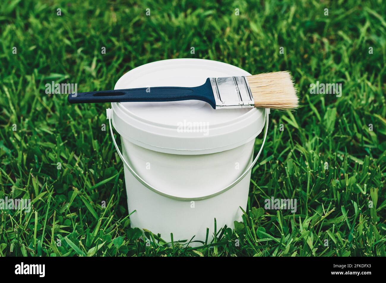 Bucket of paint and brush on the green lawn Stock Photo