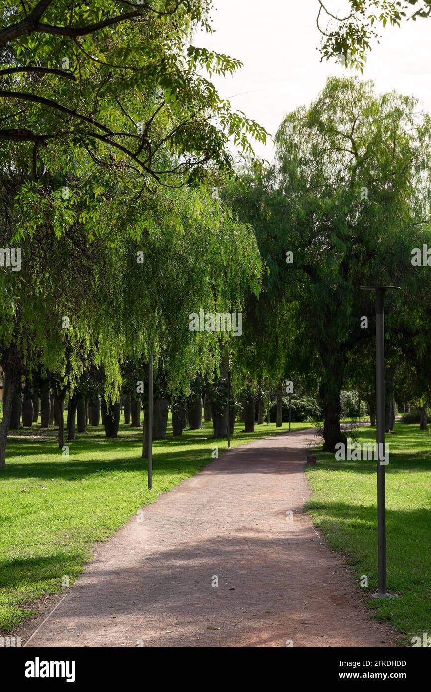 Path in beautiful green city park in the morning. Valencia, Spain Stock Photo