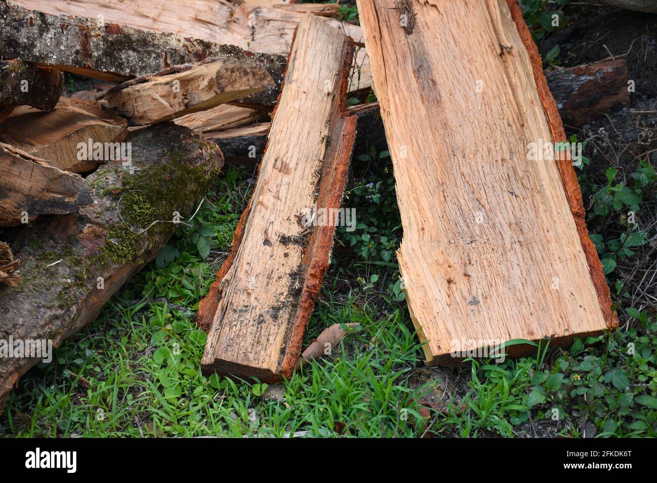 Trees log with distinctly visible wood fiber brownish red pattern Stock Photo