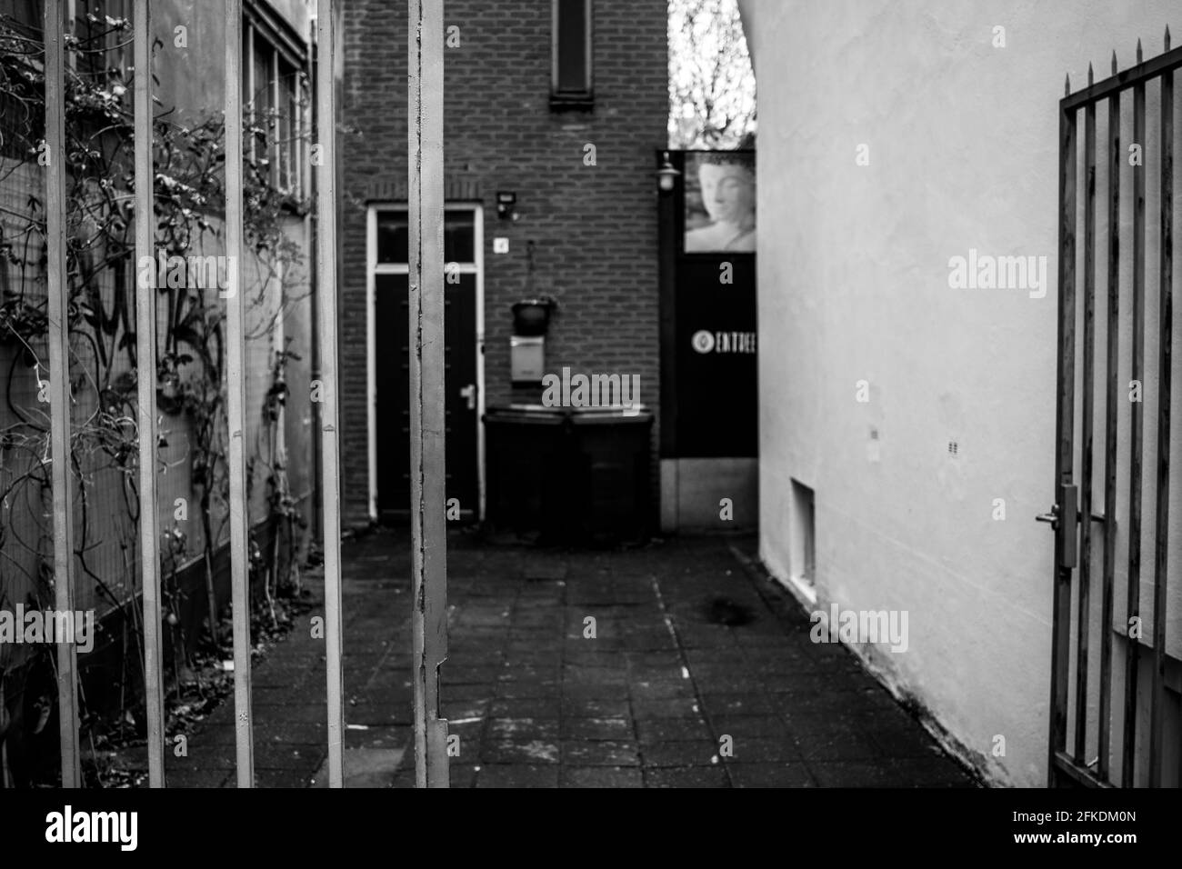Open gate of an alley leading to a building backdoor in grayscale Stock Photo