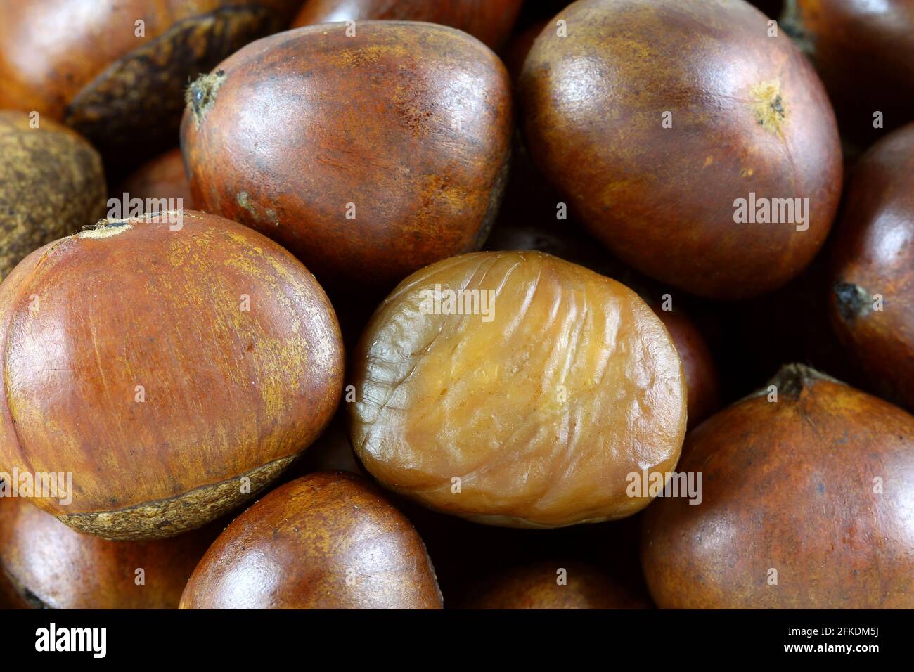 Shelled and unshelled Spanish chestnuts (Sweet chestnuts Stock Photo