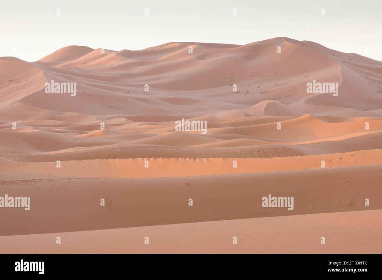 Erg Chebbi dunes at Sahara desert, Morocco, sunlit at sunrise Stock Photo