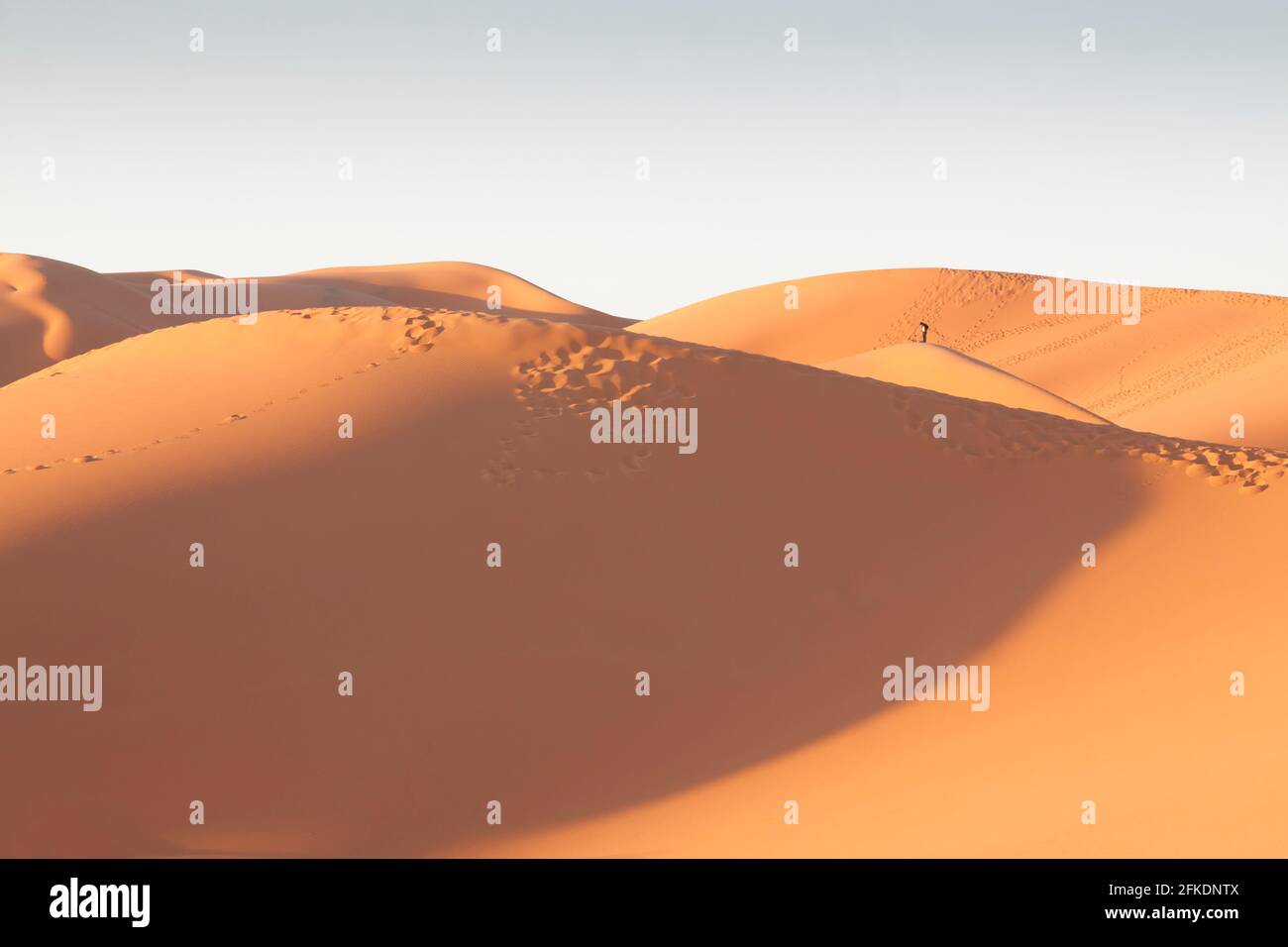 Erg Chebbi dunes at Sahara desert, Morocco, sunlit at sunrise Stock Photo