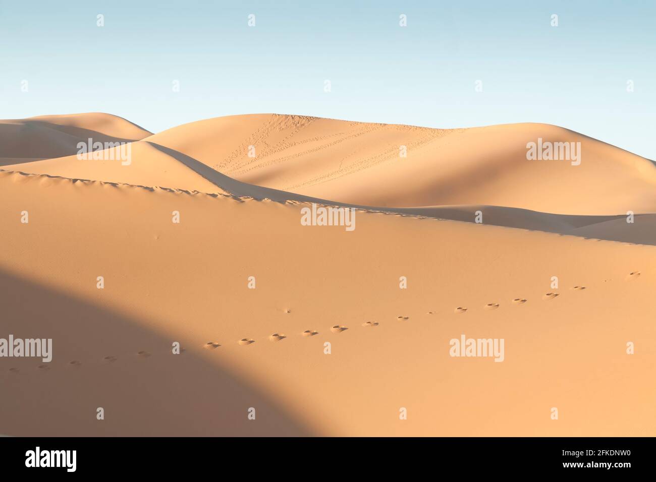Erg Chebbi dunes at Sahara desert, Morocco, sunlit at sunrise Stock Photo