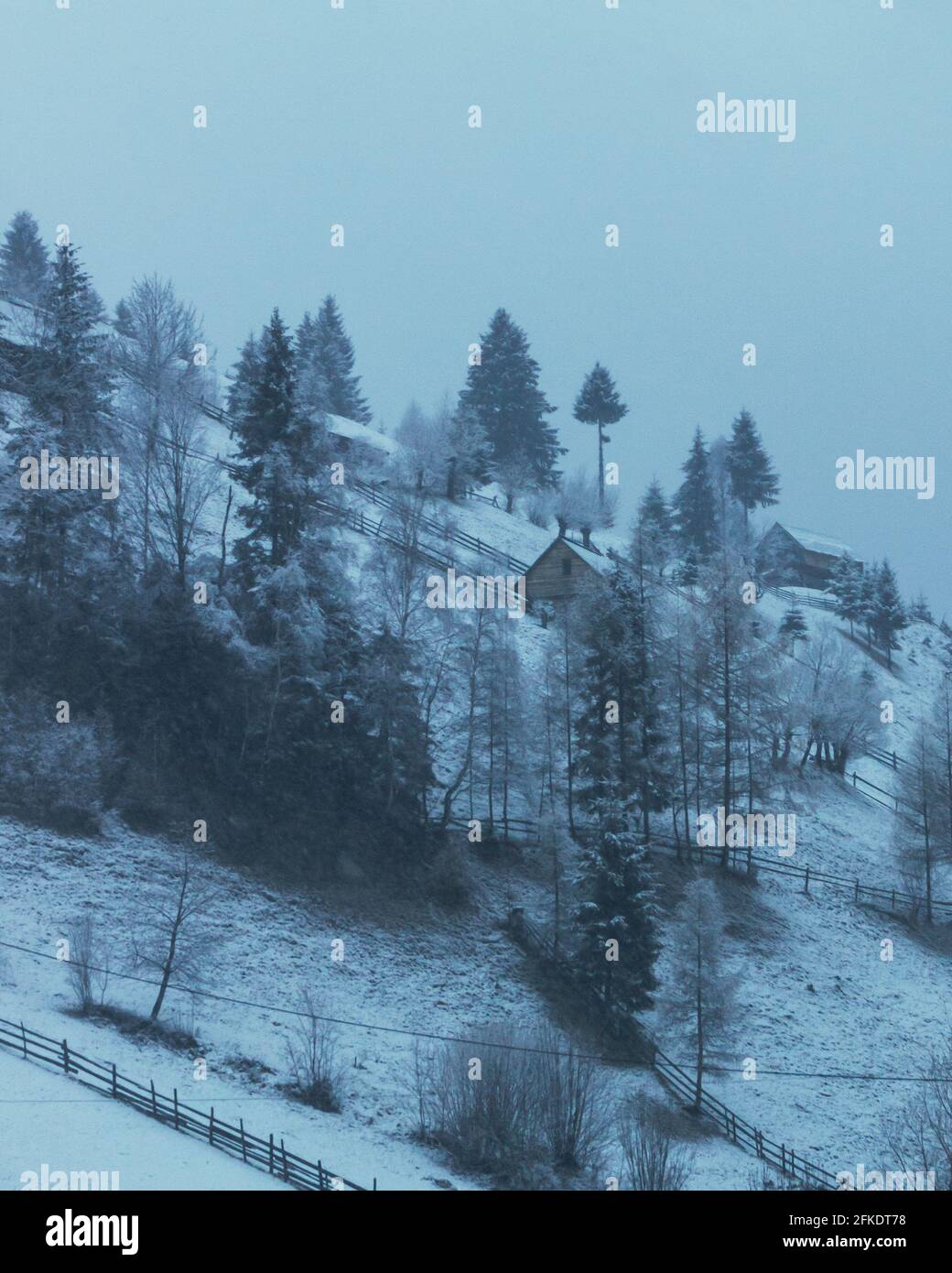 Vertical shot of a snowy hill with trees and cabins on a foggy weather Stock Photo
